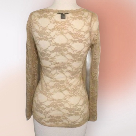 BOZZOLO Long Sleeve Scoop Neck Taupe Sheer Lace Fitted Top Tee Small - Picture 4 of 9